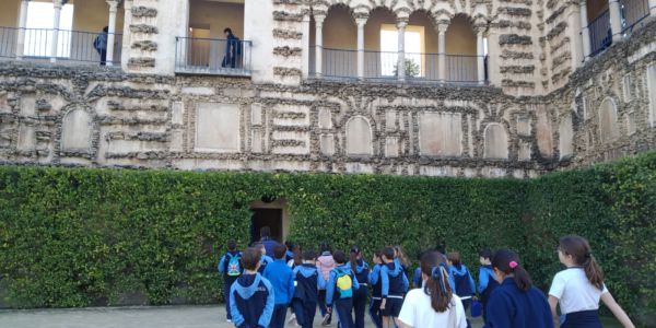 WhatsApp Image 2020-02-10 at 12.14.51