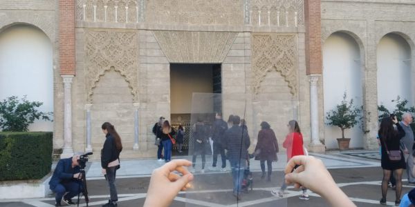 WhatsApp Image 2020-02-10 at 12.14.52 (3)