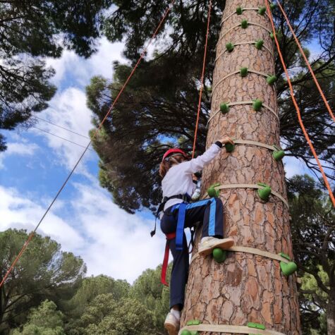 WhatsApp Image 2022-03-31 at 4.19.22 PM (2) WhatsApp Image 2022-03-31 at 4.19.22 PM (2)