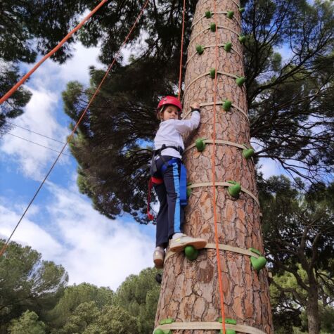 WhatsApp Image 2022-03-31 at 4.19.22 PM (3) WhatsApp Image 2022-03-31 at 4.19.22 PM (3)