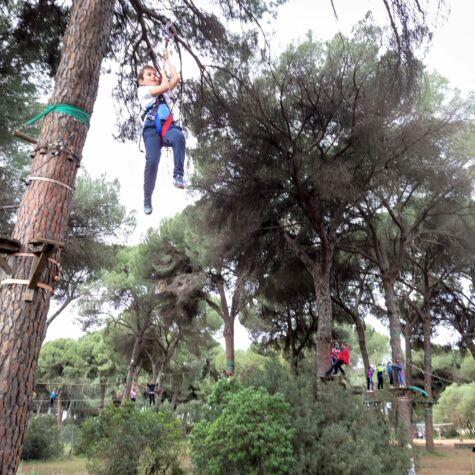 WhatsApp Image 2022-03-31 at 4.19.22 PM (6) WhatsApp Image 2022-03-31 at 4.19.22 PM (6)