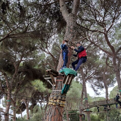 WhatsApp Image 2022-03-31 at 4.19.23 PM (1) WhatsApp Image 2022-03-31 at 4.19.23 PM (1)