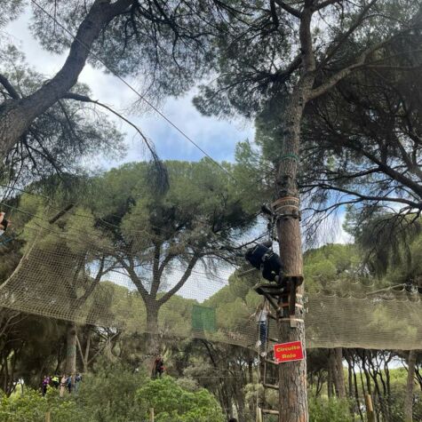 WhatsApp Image 2022-04-01 at 9.48.35 AM WhatsApp Image 2022-04-01 at 9.48.35 AM