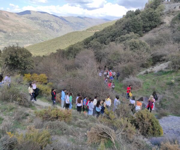 WhatsApp Image 2022-04-19 at 10.54.31 AM (1)