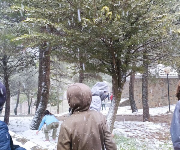 WhatsApp Image 2022-04-20 at 1.14.05 PM (1)