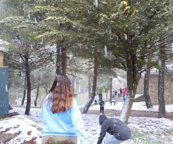 WhatsApp Image 2022-04-20 at 1.14.05 PM (2)