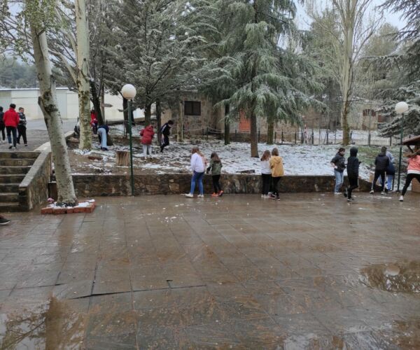 WhatsApp Image 2022-04-20 at 11.51.19 AM (2)