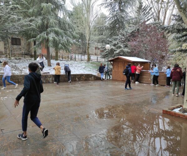 WhatsApp Image 2022-04-20 at 11.51.19 AM (3)