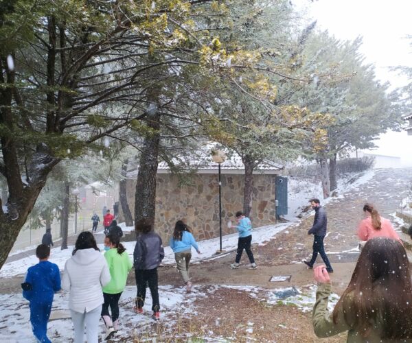 WhatsApp Image 2022-04-20 at 12.50.30 PM (2)