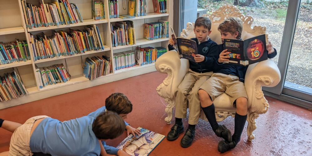 WhatsApp Image 2022-11-15 at 12.48.09