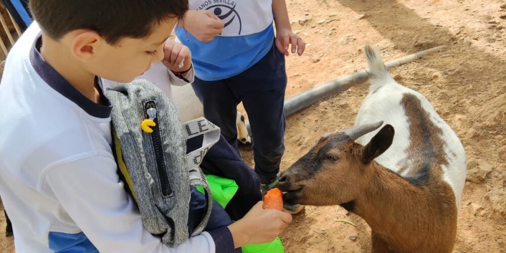 WhatsApp Image 2023-02-22 at 18.41.31 (1)