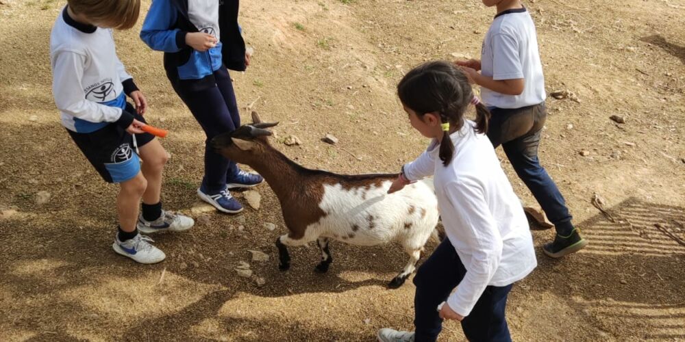 WhatsApp Image 2023-02-22 at 18.41.31