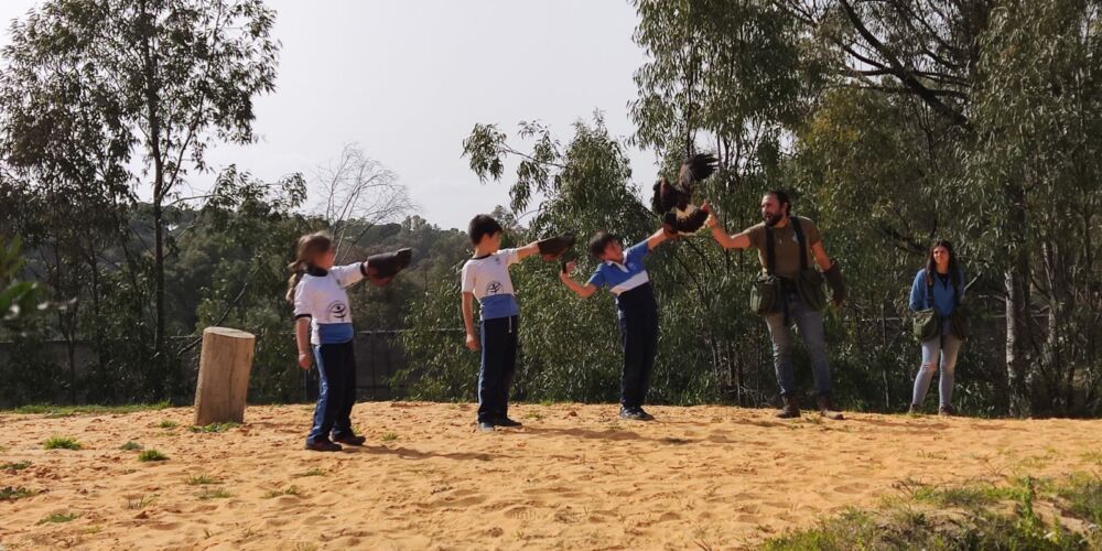 WhatsApp Image 2023-02-22 at 18.41.31 (3)