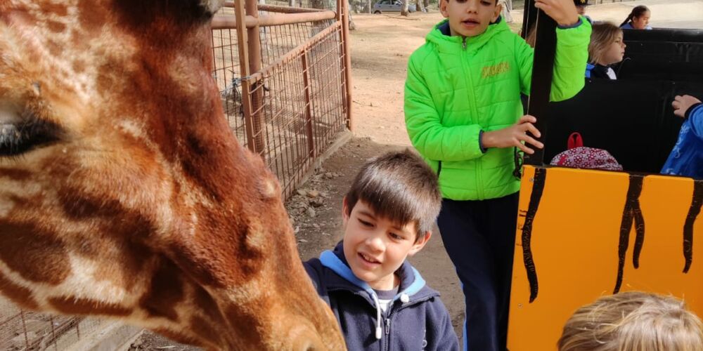 WhatsApp Image 2023-02-22 at 18.41.31 (4)