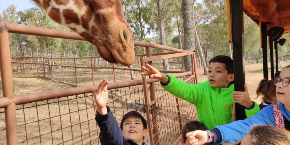 WhatsApp Image 2023-02-22 at 18.41.31 (5)