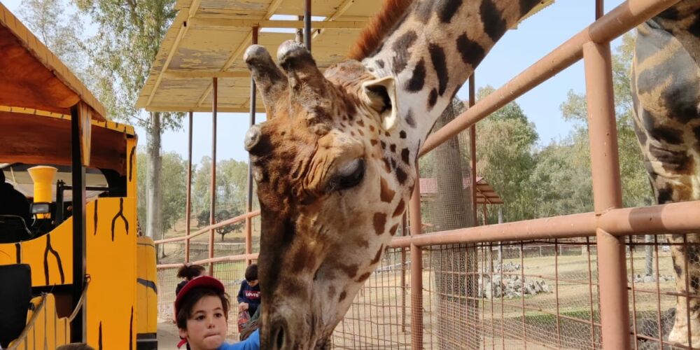 WhatsApp Image 2023-02-22 at 18.41.32 (1)