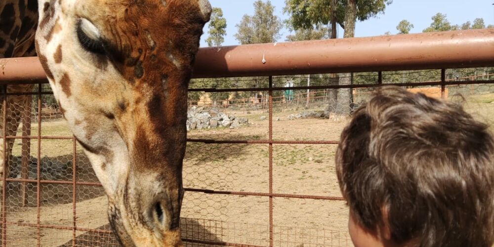 WhatsApp Image 2023-02-22 at 18.41.32