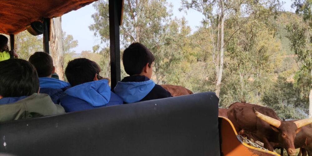 WhatsApp Image 2023-02-22 at 18.41.33 (1)