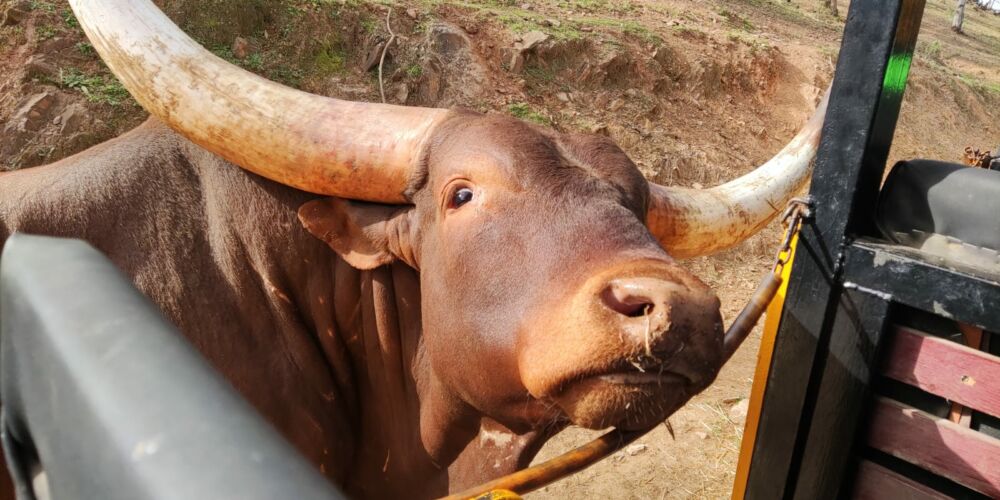 WhatsApp Image 2023-02-22 at 18.41.33