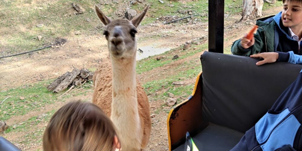 WhatsApp Image 2023-02-22 at 18.41.33 (3)