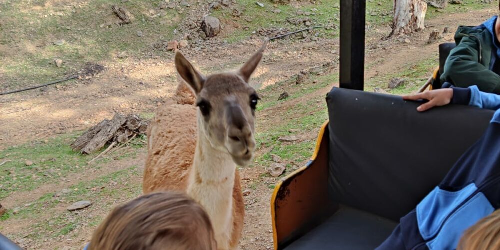 WhatsApp Image 2023-02-22 at 18.41.33 (4)