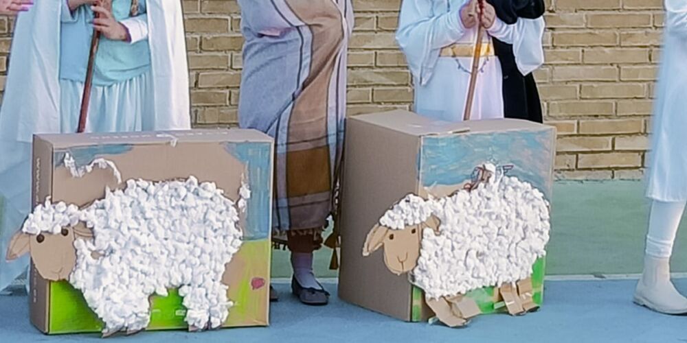 WhatsApp Image 2023-02-24 at 13.05.46 (1)